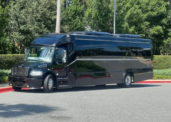 Miami Sprinter rental with driver